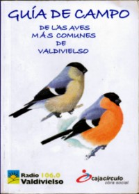 Radio Valdivielso